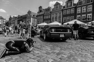 Mustangi na poznańskim Rynku